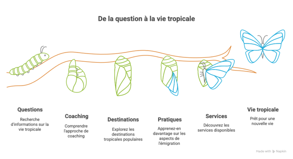 FAQ _ Guide Complet - visual selection.